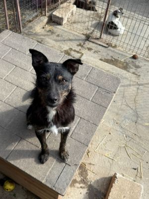 Whatsapp bild 2025 10 06 um 13.46.44 85afed87