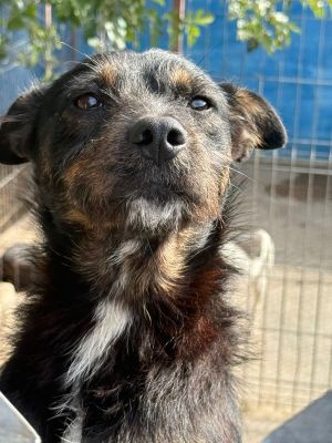 Whatsapp bild 2025 10 06 um 13.46.44 e4643be9