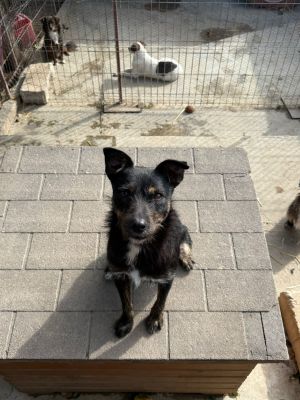 Whatsapp bild 2025 10 06 um 13.46.45 81cd6647