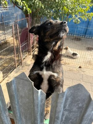 Whatsapp bild 2025 10 06 um 13.46.45 bf7caf32