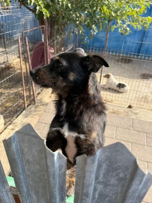 Whatsapp bild 2025 10 06 um 13.46.45 e9e729cd