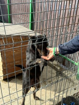 Whatsapp bild 2025 10 06 um 13.46.45 ea11ae1e