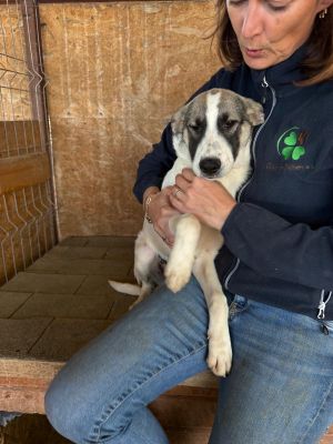 Whatsapp bild 2025 10 10 um 17.04.38 e4dadc86