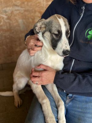 Whatsapp bild 2025 10 10 um 17.06.14 be8e5900