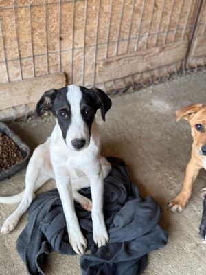 Whatsapp bild 2025 10 10 um 17.16.44 3434b356