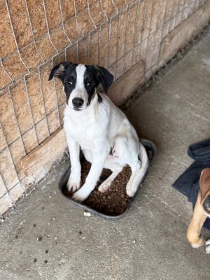 Whatsapp bild 2025 10 10 um 17.16.45 c96a4f51