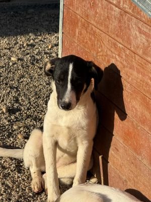 Whatsapp bild 2025 10 10 um 17.55.23 12e631e9