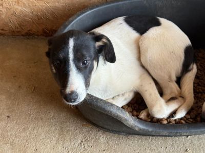 Whatsapp bild 2025 10 10 um 17.55.25 584e1ecc