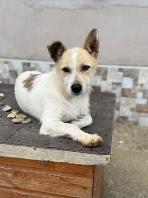 Whatsapp bild 2025 10 11 um 10.57.21 8614a0d3