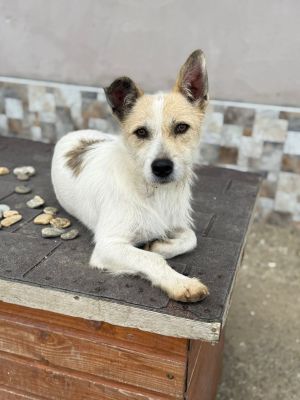 Whatsapp bild 2025 10 11 um 10.57.22 6a8b60e4