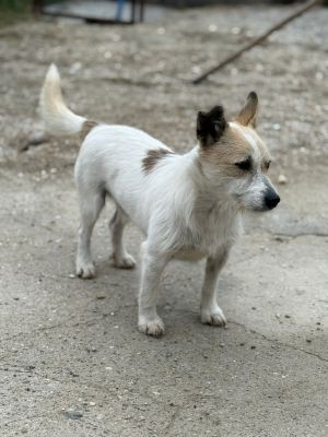 Whatsapp bild 2025 10 11 um 10.57.22 8fd806ad