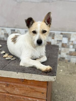 Whatsapp bild 2025 10 11 um 10.57.22 d78a0f71