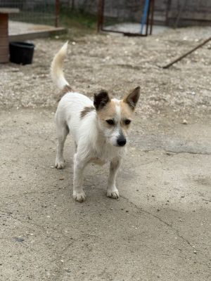 Whatsapp bild 2025 10 11 um 10.57.23 005977b1