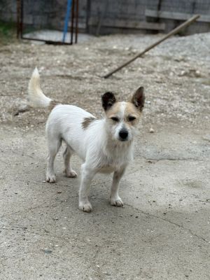 Whatsapp bild 2025 10 11 um 10.57.23 ba70ea38