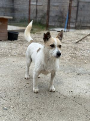 Whatsapp bild 2025 10 11 um 10.57.25 7428e4d2