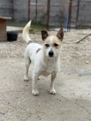 Whatsapp bild 2025 10 11 um 10.57.25 bd482835