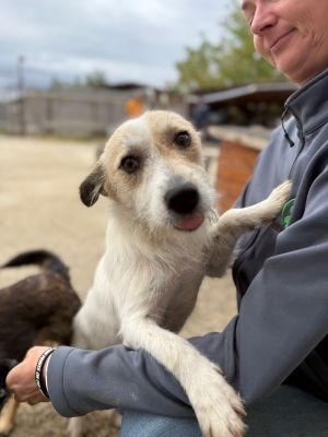 Whatsapp bild 2025 10 11 um 10.57.26 22af4ff0