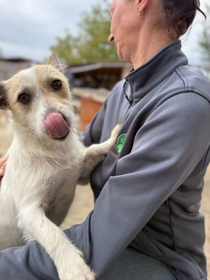 Whatsapp bild 2025 10 11 um 10.57.26 7a2d1067