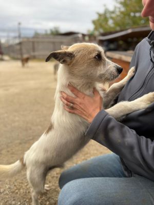 Whatsapp bild 2025 10 11 um 10.57.27 04e2f488