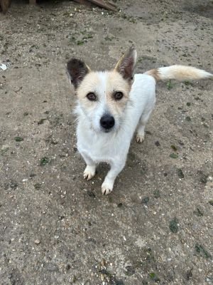 WhatsApp Bild 2025 11 20 um 10.41.15 4f194755