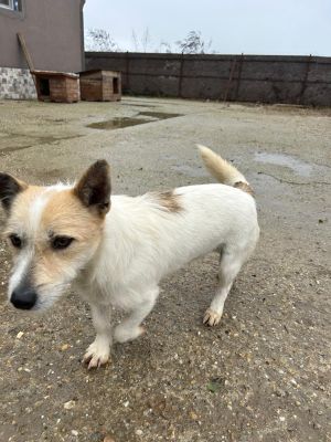 WhatsApp Bild 2025 11 20 um 10.41.16 a1829667