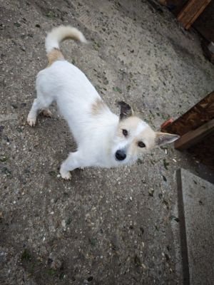 WhatsApp Bild 2025 11 20 um 10.41.17 36f850b5