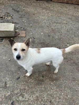 WhatsApp Bild 2025 11 20 um 10.41.17 a97d1b08