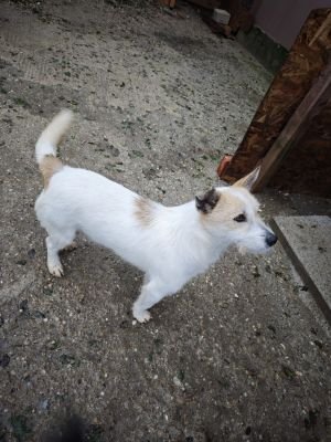 WhatsApp Bild 2025 11 20 um 10.41.18 306fe1f1