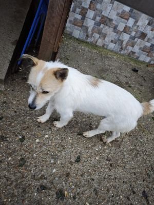 WhatsApp Bild 2025 11 20 um 10.41.19 0b1b237a