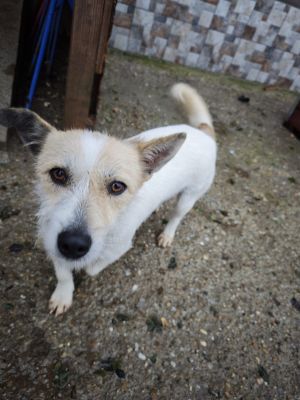 WhatsApp Bild 2025 11 20 um 10.41.19 6cc145fa