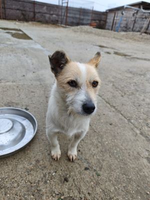 WhatsApp Bild 2025 11 20 um 10.41.20 8add9759