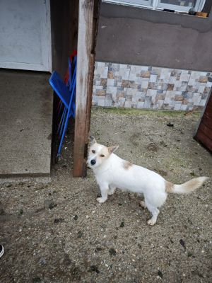 WhatsApp Bild 2025 11 20 um 10.41.20 cd86a56a