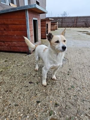 WhatsApp Bild 2025 11 20 um 10.41.21 ecd58bd7