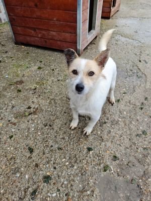 WhatsApp Bild 2025 11 20 um 10.41.25 97e59d4d