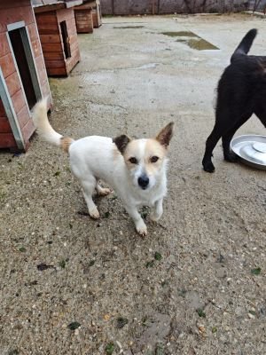 WhatsApp Bild 2025 11 20 um 10.41.26 4c800e39