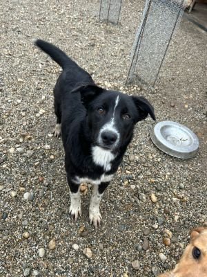 WhatsApp Bild 2025 11 20 um 18.15.53 d69ff0cd