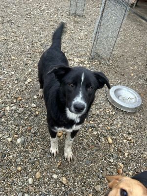 WhatsApp Bild 2025 11 20 um 18.15.54 81b73e9b