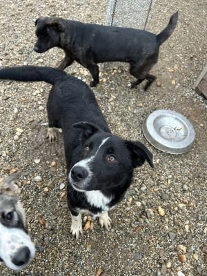 WhatsApp Bild 2025 11 20 um 18.15.54 8fe84d11