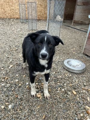 WhatsApp Bild 2025 11 20 um 18.15.54 a5cf9c18