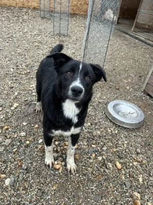 WhatsApp Bild 2025 11 20 um 18.15.54 e8043561