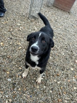 WhatsApp Bild 2025 11 20 um 18.15.55 210cf43b