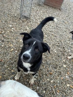 WhatsApp Bild 2025 11 20 um 18.15.55 6b3a86e8