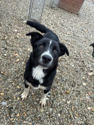 WhatsApp Bild 2025 11 20 um 18.15.55 d59b7de7