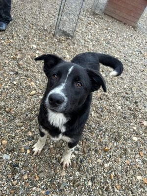 WhatsApp Bild 2025 11 20 um 18.15.56 97a2c9b8