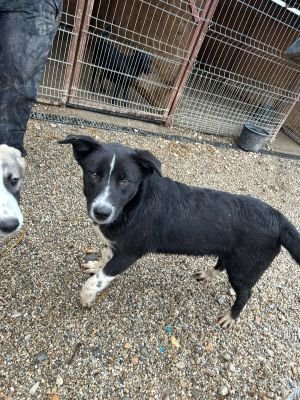 WhatsApp Bild 2025 11 20 um 18.15.56 c035d534