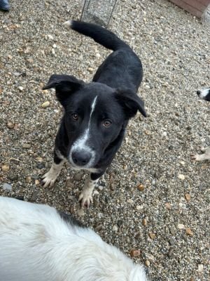 WhatsApp Bild 2025 11 20 um 18.15.56 c8b4617d