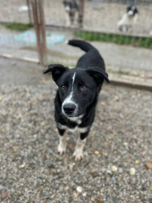 WhatsApp Bild 2025 11 20 um 18.15.56 d8e8f934