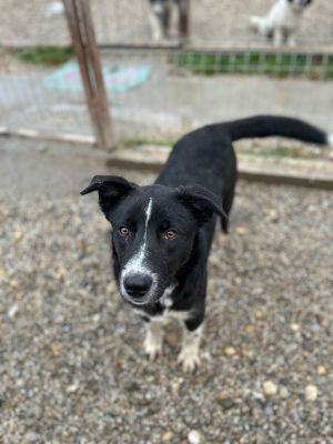 WhatsApp Bild 2025 11 20 um 18.15.57 1b3be4fd