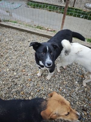 WhatsApp Bild 2025 11 20 um 18.16.12 882834f6