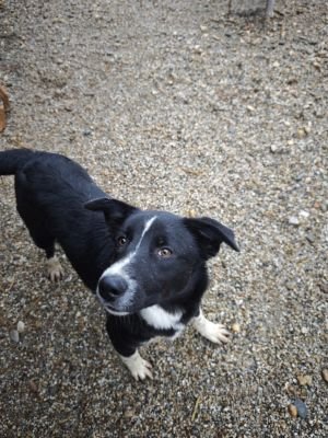 WhatsApp Bild 2025 11 20 um 18.16.13 da764c15